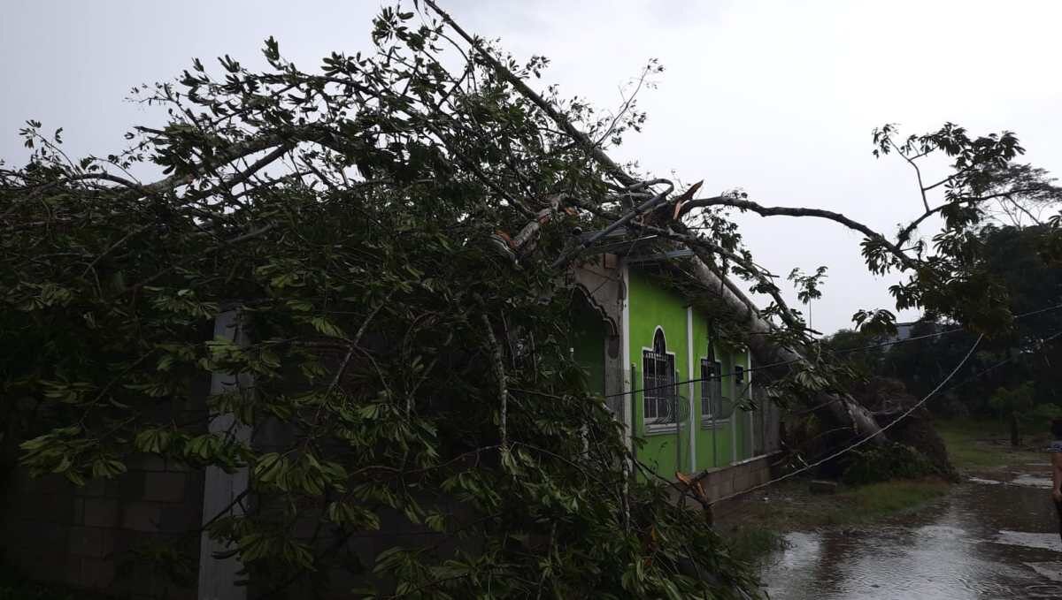 Damage caused by a tornado that was recorded in Morales, Izabal on Sunday, February 13.