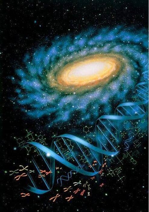 cosmic DNA