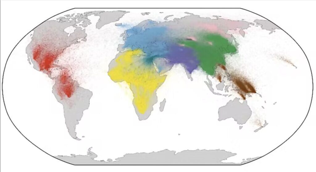 genealogija