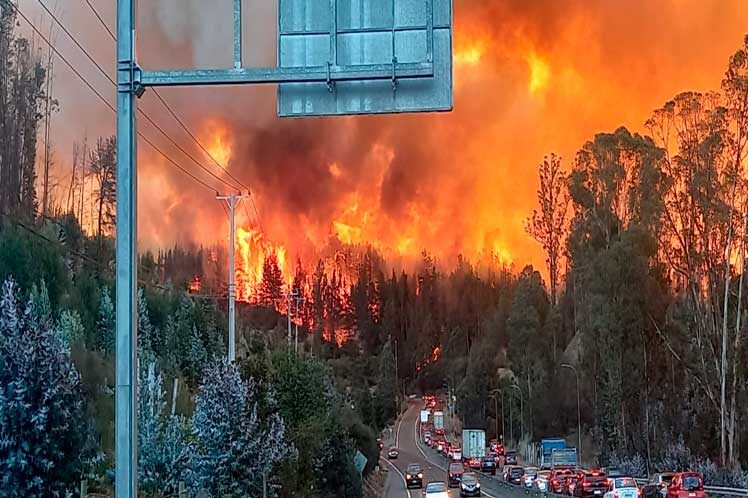 Red alert for forest fire in Chilean region of Valparaiso