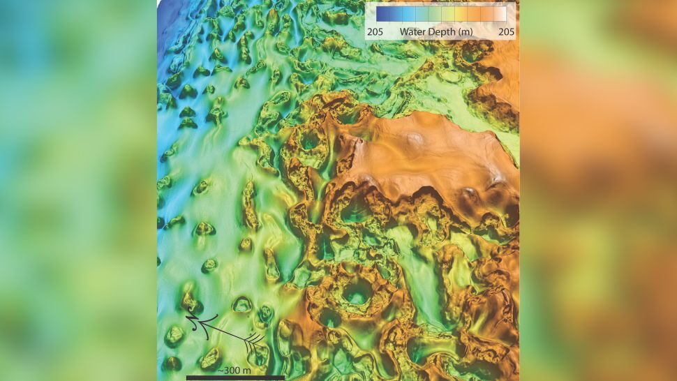 Seafloor