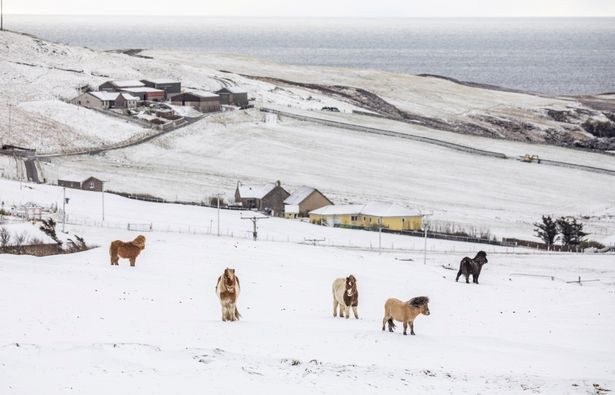 Parts of Scotland have woken up to a blanket of snow this morning.