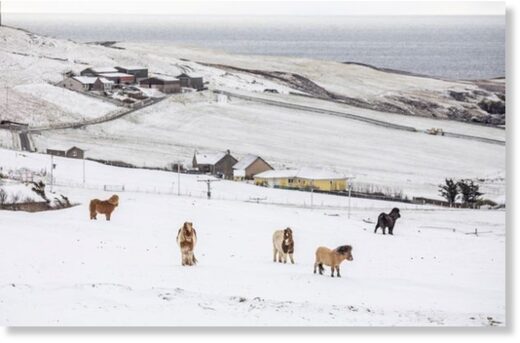 Parts of Scotland have woken up to a blanket of snow this morning.