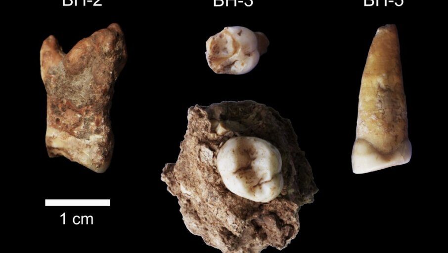 Zubi neandertalaca iz Velike Balanice