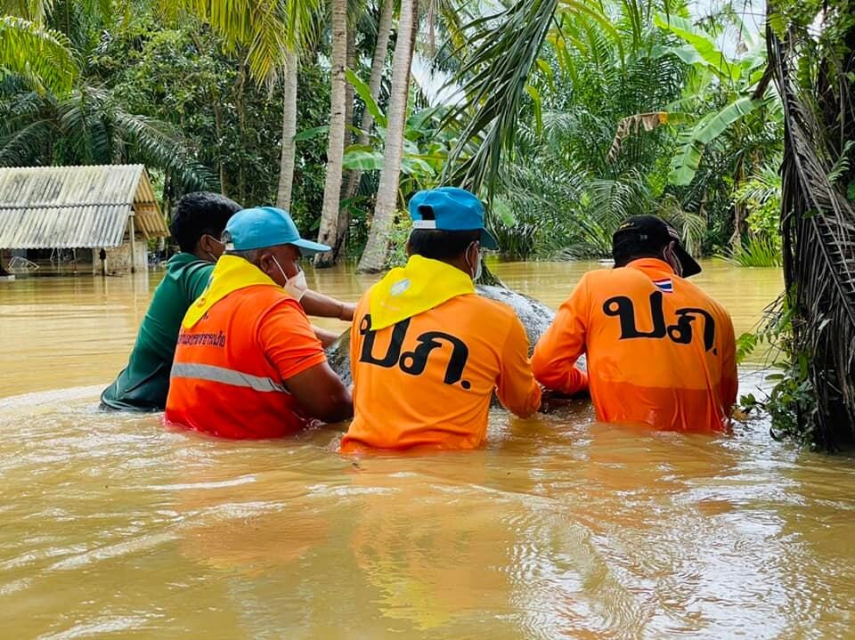 DDPM teams working in the floods in Surat Thani, Thailand, April 2022.