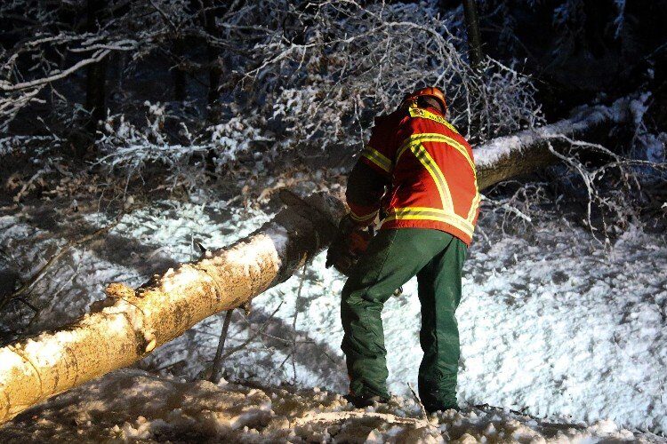 A fireman clears a tree from the road in Bayern, Elsenfeld.