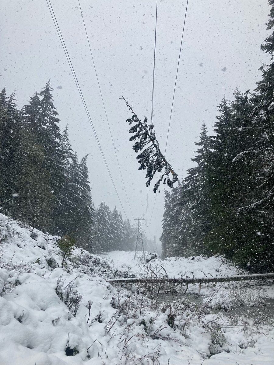 snow
