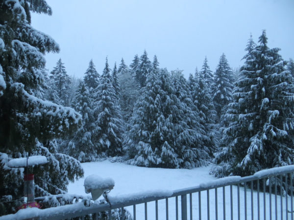 snow