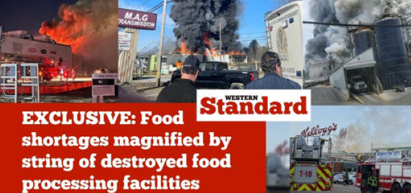 Klikni za povećanje food plants destroyed