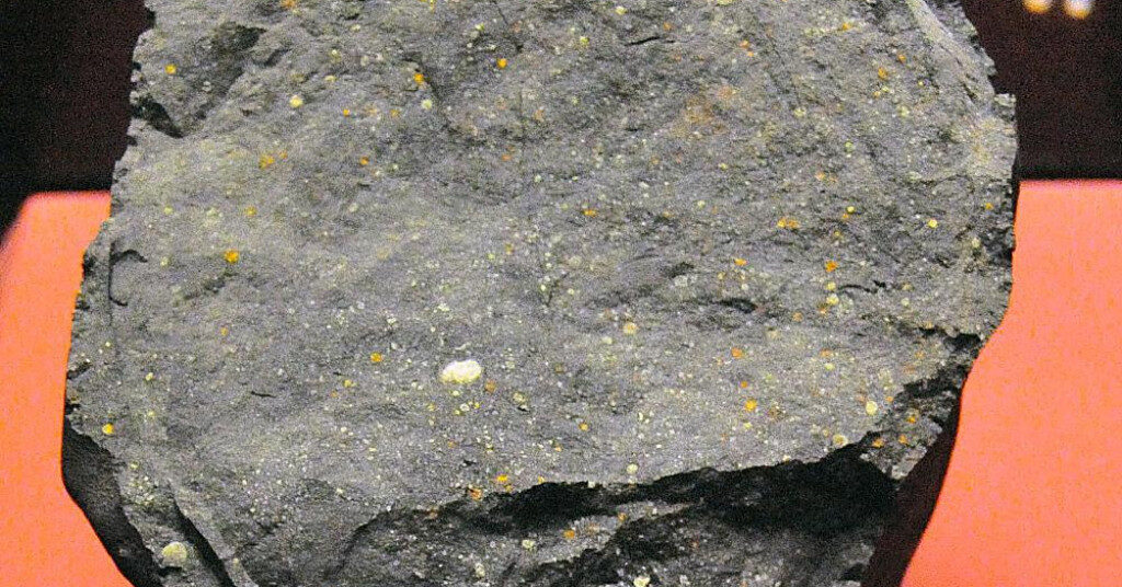 Meteorit Murchison