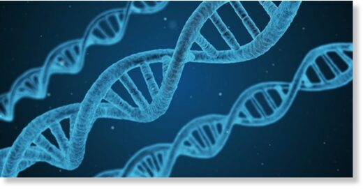 DNA strand,