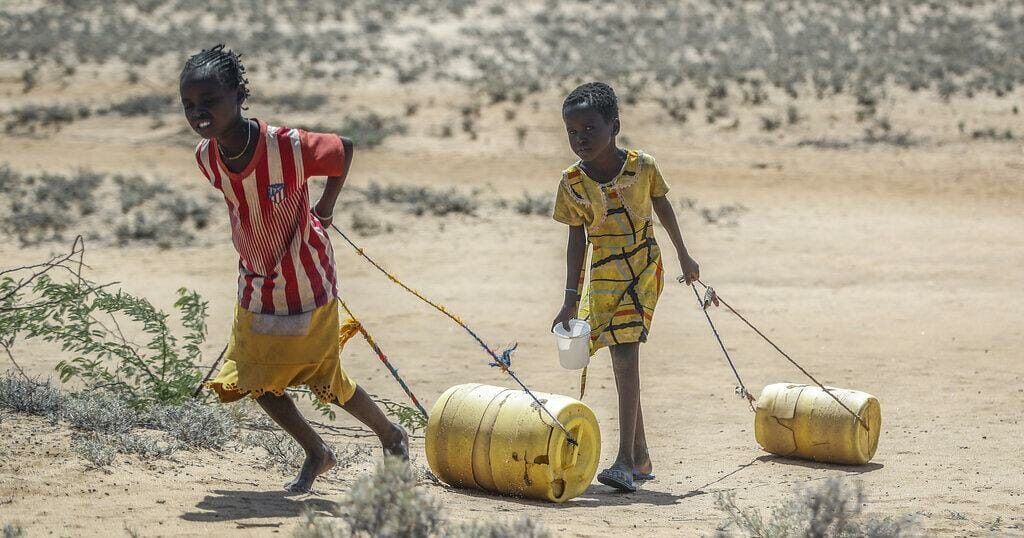 Like its neighbours in the horn of Africa, Kenya is experiencing extreme drought conditions. Some 3.5 million people are suffering from starvation.
