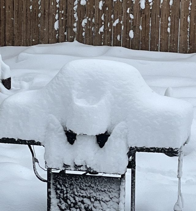 CBS4 viewer Sheila Skaggs measured 6″ of snow in South Park at 7am Tuesday