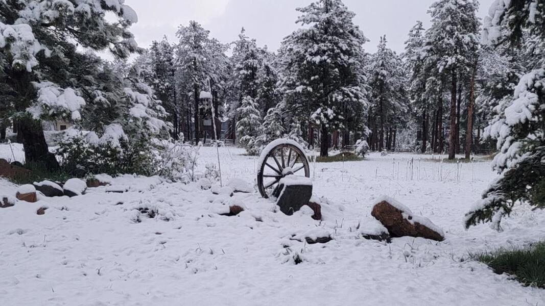 Parts of Colorado wake up to fresh June snow