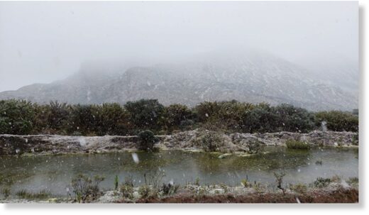 photo of snow coming down at Sumapaz National Park last Friday.