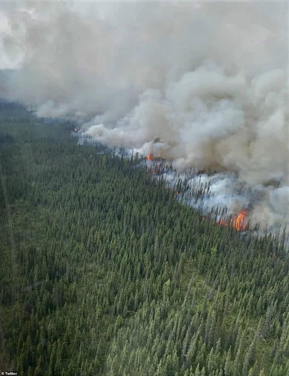 More than 2.4 million acres have burned this year, which is double the land that is typically scorched at this point in the state's wildfire season. Pictured is the Minto Lakes Fire that has burned more than 30,000 acres