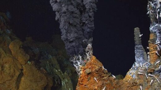hidrotermalno polje