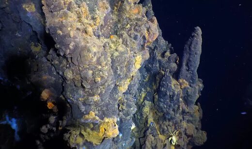 hidrotermalni izvori