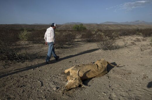 Jedna od najtežih suša pogodila Meksiko