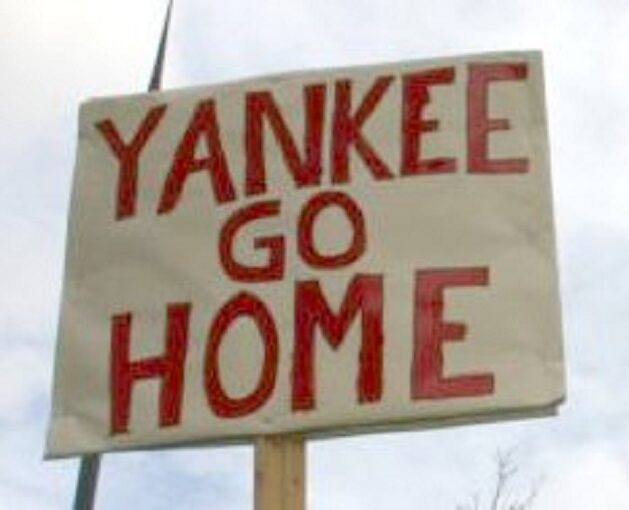 yankee