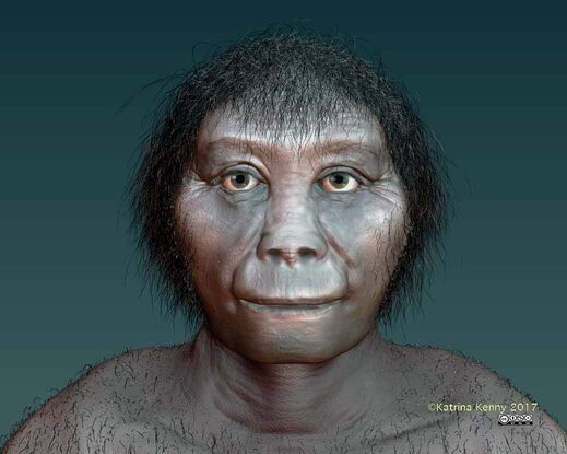 Umjetnikov dojam o Homo floresiensis