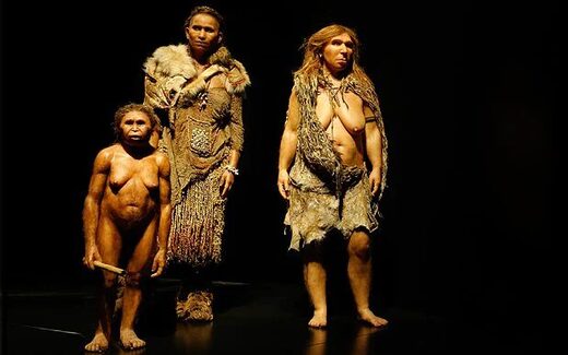 Modeli, slijeva, predstavljaju Homo floresiensisa, Homo Sapiensa i neandertalca