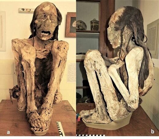 Marburška muška mumija