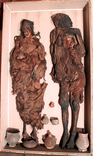 Delemontove mumije