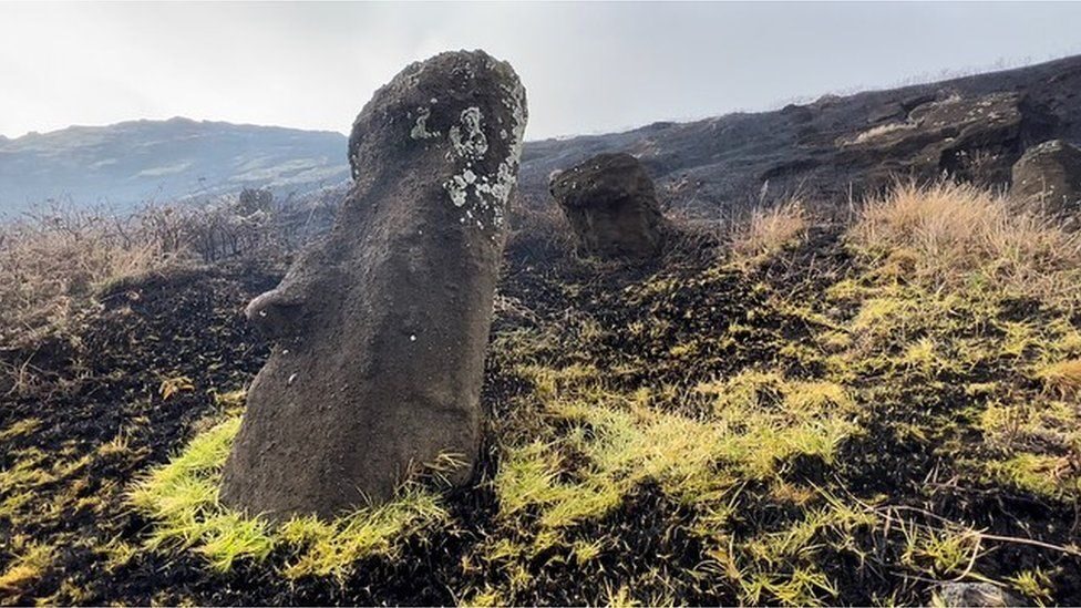 Moai statue
