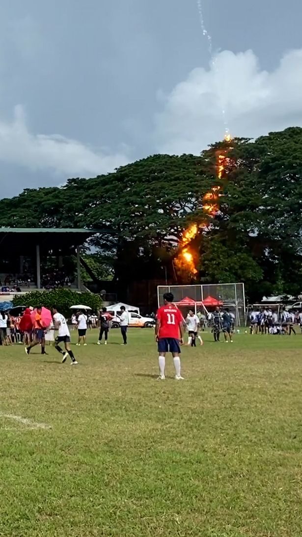 A referee miraculously survived being electrocuted when lightning struck a tree during a football match.