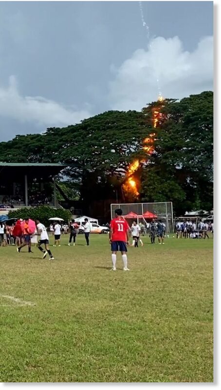 A referee miraculously survived being electrocuted when lightning struck a tree during a football match.