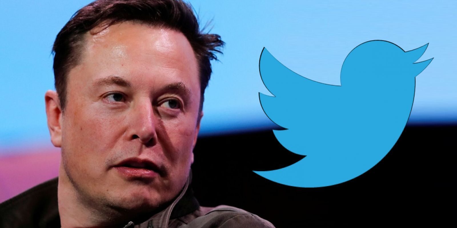 musk i tviter