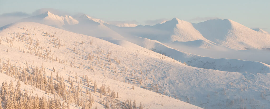 sibir