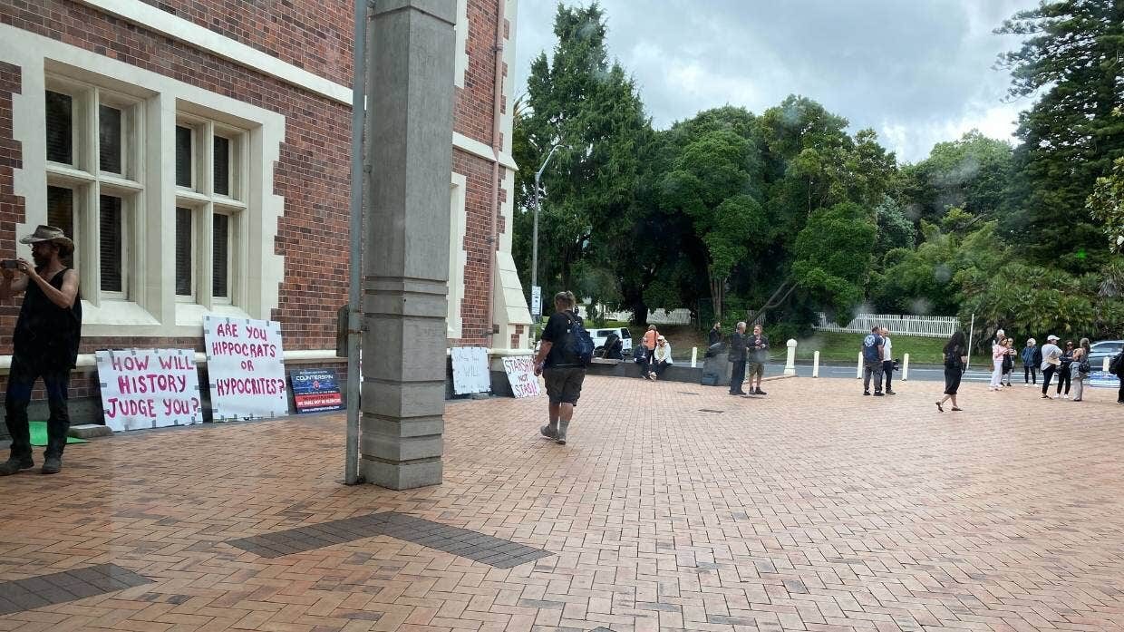 protesters high court NZ