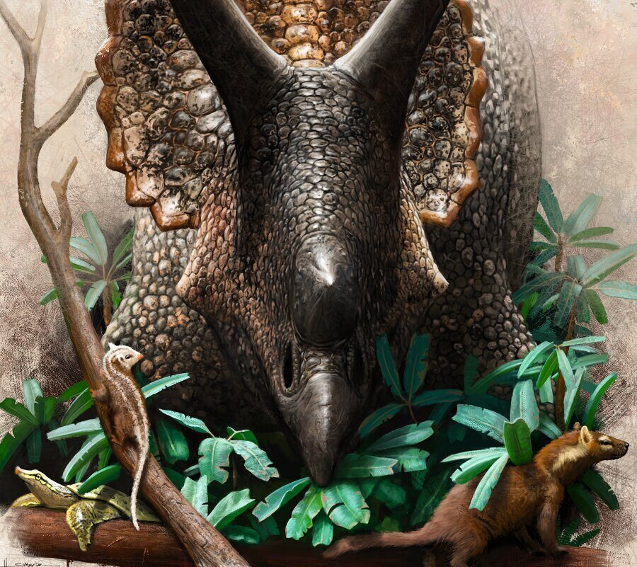 dinosauri