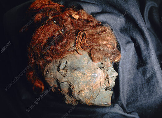 Glava mumije iz močvare iz Danske