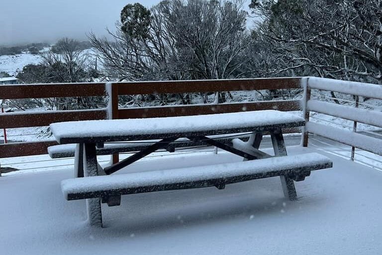 Up to 5cm of snow fell at Perisher and Thredbo.