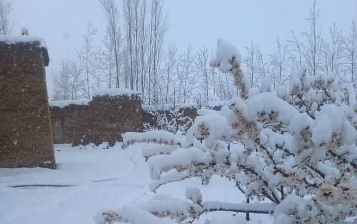 snijeg afganistan