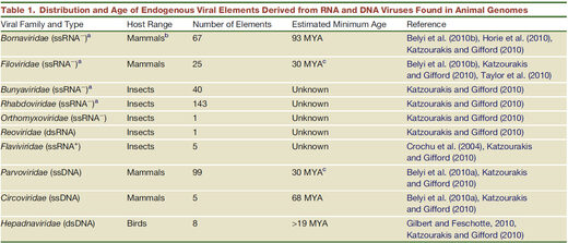 viruses in hosts genomes