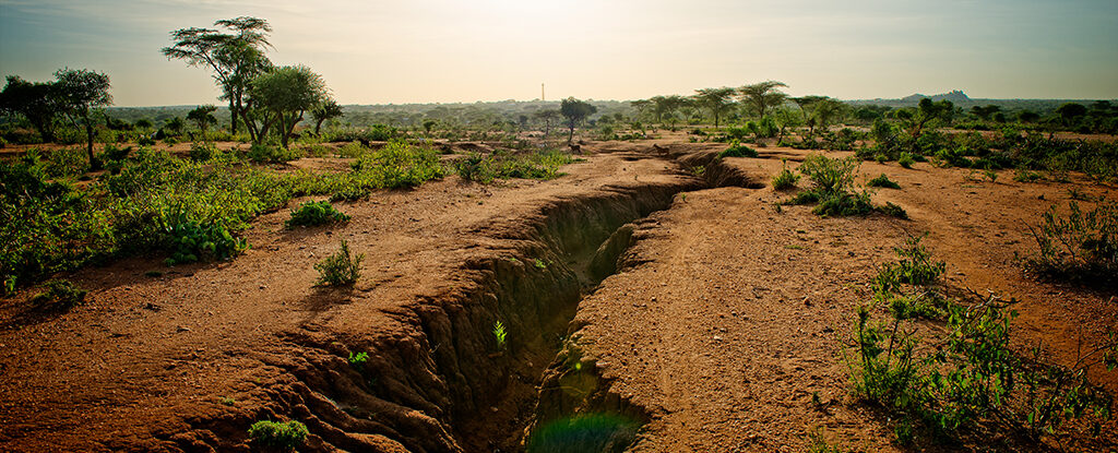 afrika