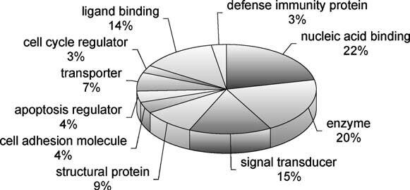 Transposable Elements proteins.