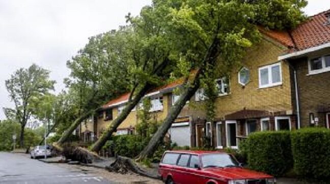 nizozemska