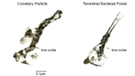 Klikni za povećanje Micron-sized carbonaceous structure