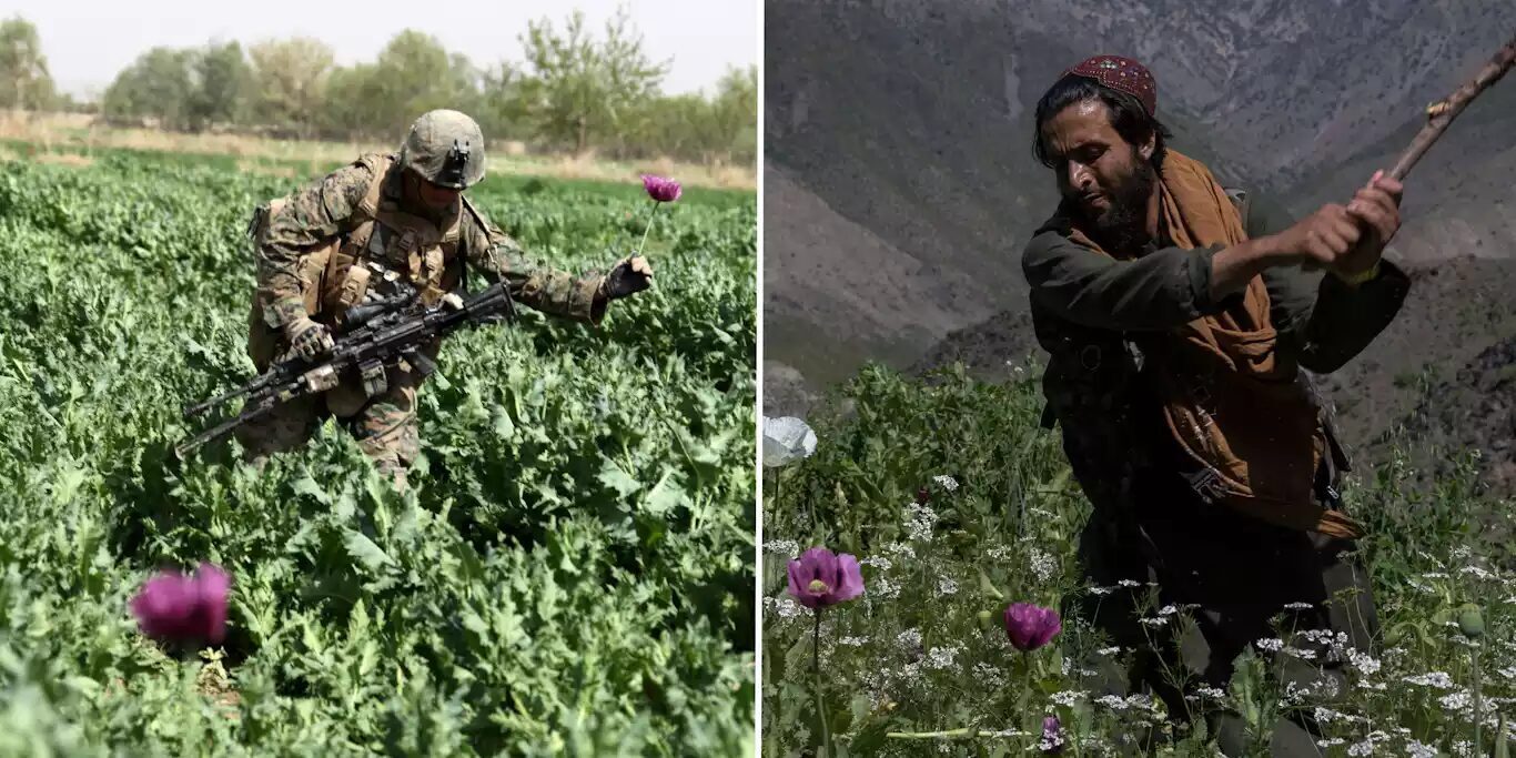 mak afganistan