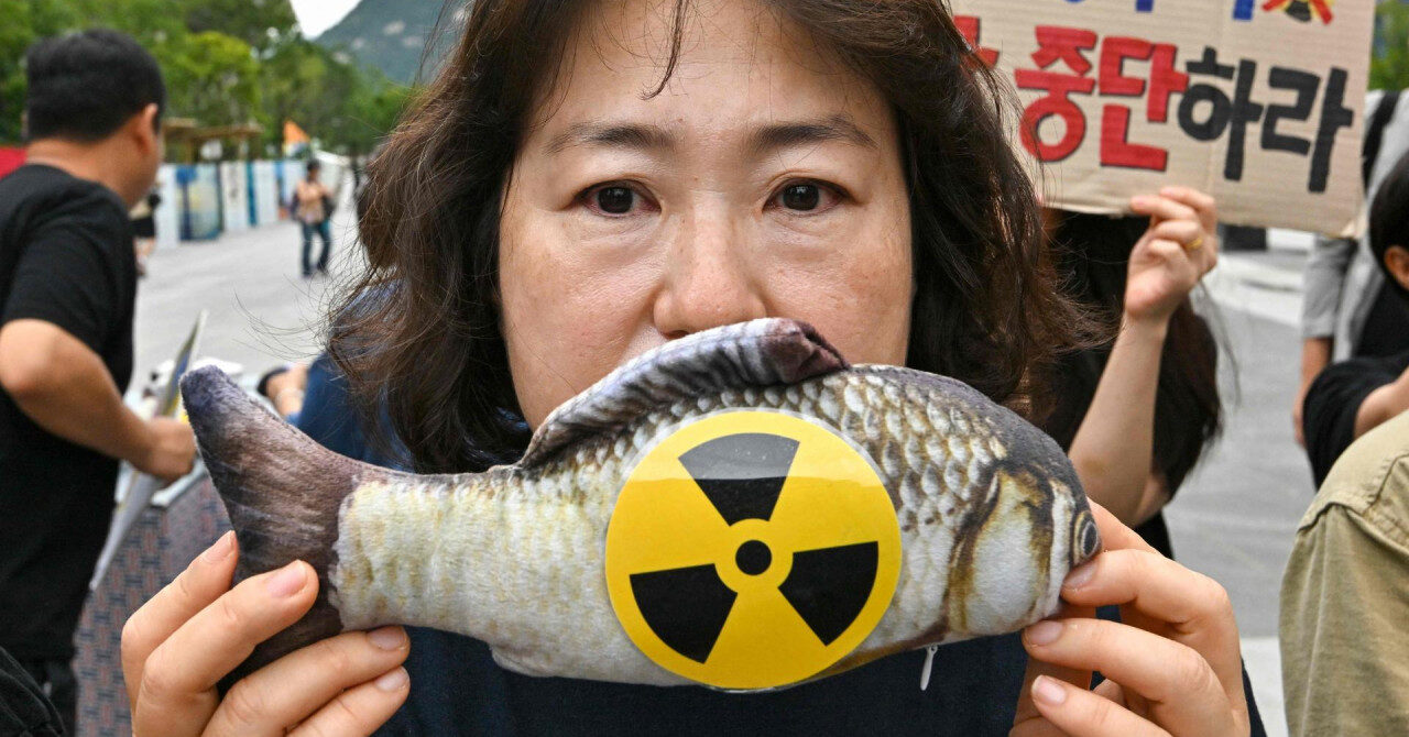 Prosvjednici u Koreji