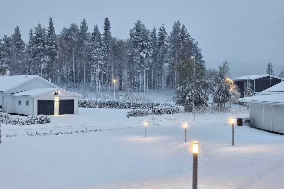 švedska snijeg