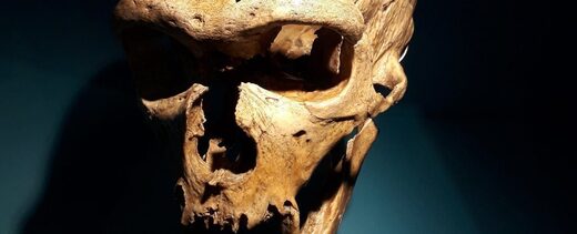 Lubanja neandertalca