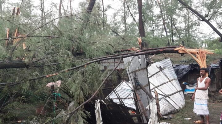A tree falls on a tin shed house due to the impact of cyclonic storm Hamoon on Tuesday, October 24, 2023.