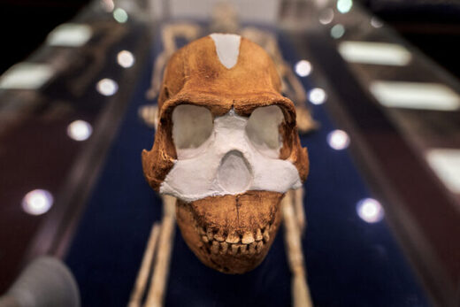 Lubanja Homo naledi pronađena u Južnoj Africi