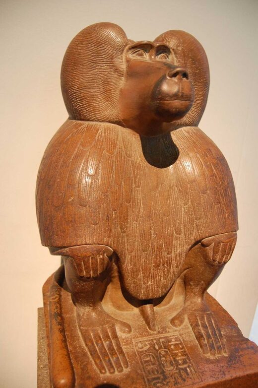 pavijani